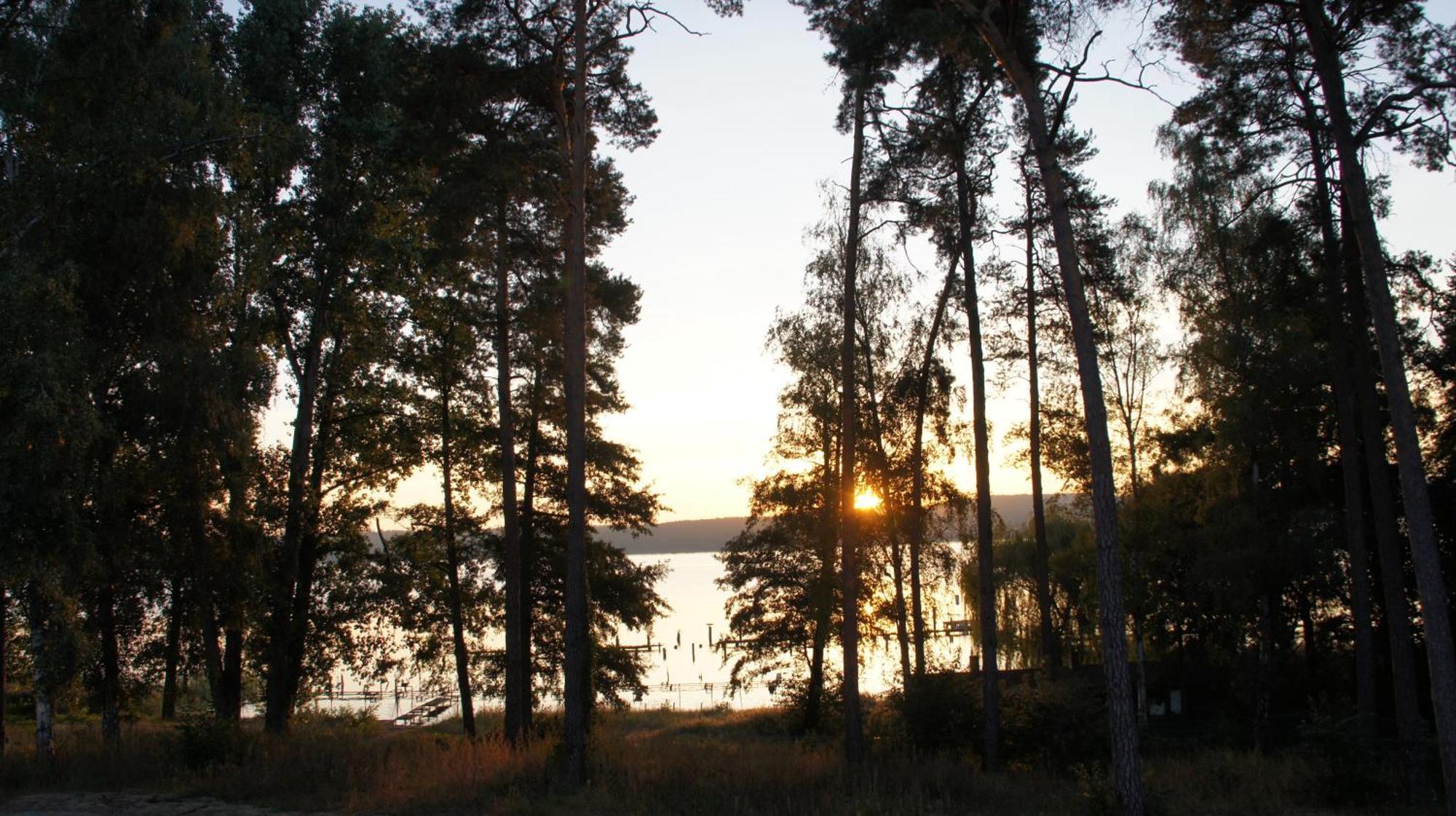 Marina Maisonette Seeblick Mit Pool Und Sauna Bad Saarow Exteriör bild